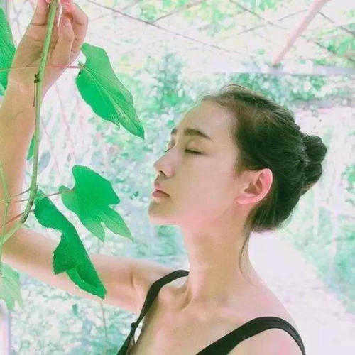 系统推荐